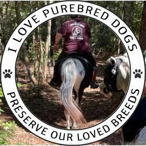 Meet your Posher, Savannah